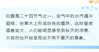 白露公众号样式哪里找?2026清新排版素材与模板全攻略 5 样式ID:163609 白露节气底色内容古风蓝色样式