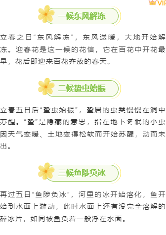 样式ID：155374 立春节气上下图文文艺绿色样式