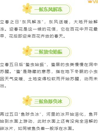 样式ID：155374 立春节气上下图文文艺绿色样式
