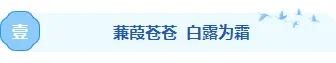 白露公众号样式哪里找?2026清新排版素材与模板全攻略 3 样式ID:163614 白露节气底色标题古风蓝色样式