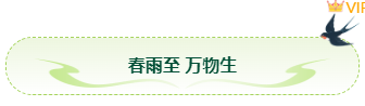 样式ID：169289 雨水节气图片标题绿色简约样式