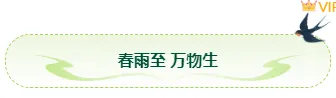 2026雨水公众号排版怎么做?5款必备样式+4套精选模板推荐 1 样式ID:169289 雨水节气图片标题绿色简约样式