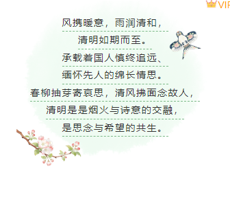 样式ID：170971 清明节段落正文清新绿色古风样式