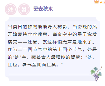 样式ID：163031 处暑节气底色内容简约紫色样式