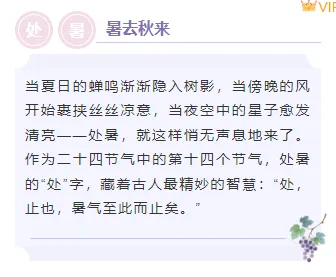 2026处暑公众号排版攻略|新媒体人必备的节气样式素材库 4 样式ID:163031 处暑节气底色内容简约紫色样式