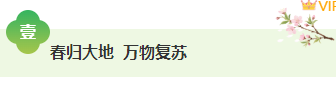 样式ID：168815 立春节气图片标题古风绿色样式