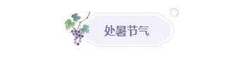 2026处暑公众号排版攻略|新媒体人必备的节气样式素材库 9 样式ID:163044 处暑节气图片标题简约紫色样式