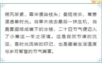 样式ID：167849 小寒节气边框内容蓝色清新中国风样式