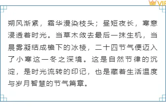 2026小寒公众号排版素材与样式推荐|运营人必看 4 样式ID:167849 小寒节气边框内容蓝色清新中国风样式