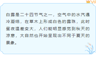 样式ID：163610 白露节气边框内容古风蓝色样式