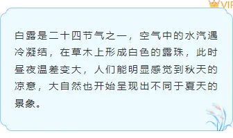 白露公众号样式哪里找?2026清新排版素材与模板全攻略 4 样式ID:163610 白露节气边框内容古风蓝色样式