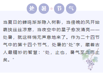 样式ID：163029 处暑节气底色内容简约紫色样式