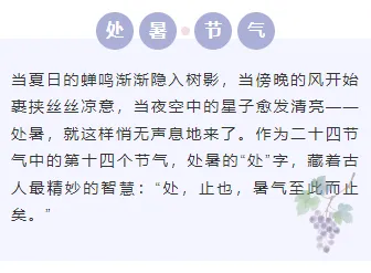 2026处暑公众号排版攻略|新媒体人必备的节气样式素材库 6 样式ID:163029 处暑节气底色内容简约紫色样式
