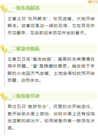 样式ID：155375 立春节气上下图文文艺绿色样式