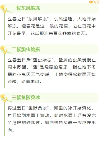 样式ID：155375 立春节气上下图文文艺绿色样式