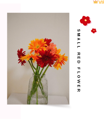 样式ID：106093 幼儿卡通简约清新小红花文字竖排左右图文