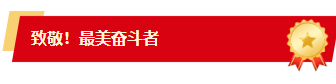 样式ID：171868 五一劳动表彰图片标题红色政务样式