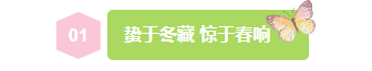 样式ID：169711 惊蛰节气编号标题清新绿色样式