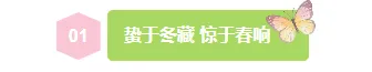 2026惊蛰公众号排版指南:8款爆款样式+4套精选模板 2 样式ID:169711 惊蛰节气编号标题清新绿色样式