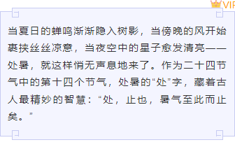 样式ID：163030 处暑节气边框内容简约紫色样式