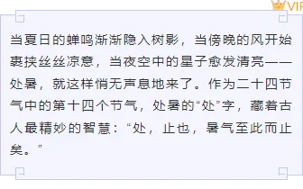 2026处暑公众号排版攻略|新媒体人必备的节气样式素材库 5 样式ID:163030 处暑节气边框内容简约紫色样式