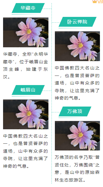 样式ID：98053 假期旅行旅游蓝绿色左右图文轴线