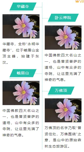 2026 五一假期公众号排版素材与样式推荐大全 11 样式ID:98053 假期旅行旅游蓝绿色左右图文轴线