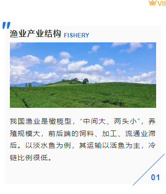 样式ID：116360 农林牧渔业简约蓝色上下图文