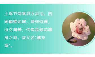 样式ID：98056 假期旅行旅游蓝绿色左右图文