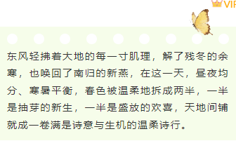 样式ID：170358 春分节气底色内容绿色清新样式