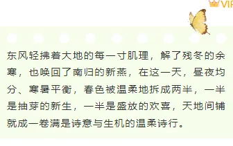 2026春分公众号排版指南|样式素材与模板全攻略 6 样式ID:170358 春分节气底色内容绿色清新样式