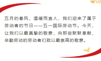 样式ID：142127 五一劳动节基础正文简约政务样式