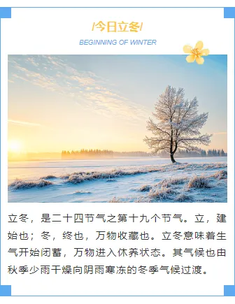 别再手动拼凑了!2026立冬公众号排版,用这些样式一键搞定 9 样式ID:150005 立冬节气边框上下图文文艺清新蓝色样式