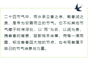 样式ID：169285 雨水节气边框内容绿色简约样式