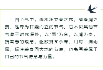 2026雨水公众号排版怎么做?5款必备样式+4套精选模板推荐 5 样式ID:169285 雨水节气边框内容绿色简约样式