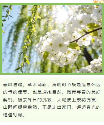 清明公众号排版怎么做?2026精选样式素材与模板推荐 8 样式ID:170850 清明踏青上下图文绿色卡通文艺清新样式