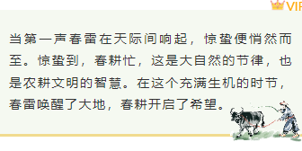 样式ID：156232 惊蛰节气底色内容简约绿色样式