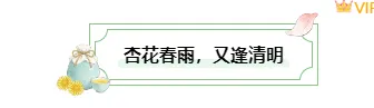 清明公众号排版怎么做?2026精选样式素材与模板推荐 1 样式ID:170980 清明节图片标题清新绿色古风样式