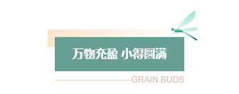 小满公众号排版不用愁|2026节气风样式模板免费获取指南 2 样式ID:159453 二十四节气小满主副标题绿色简约样式