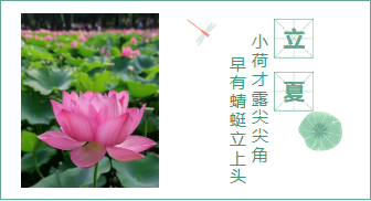 样式ID：94982 立夏节气夏天中国风左右图文