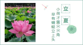 样式ID：94982 立夏节气夏天中国风左右图文