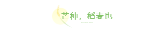 样式ID：104210 二十四节气芒种绿色简约麦穗标题