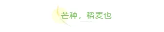 样式ID：104210 二十四节气芒种绿色简约麦穗标题