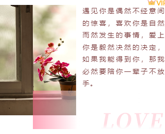 样式ID：139163 情人节左右图文简约粉色样式