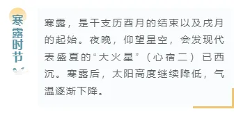 节气公众号排版素材哪里找?2026实用样式与模板大揭秘 7 样式ID:118769 二十四节气寒露简约清新底色内容