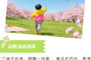 告别低转化！2026亲子公众号排版新策略