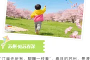 告别低转化！2026亲子公众号排版新策略