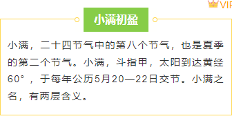 样式ID：143057 小满节气边框内容简约绿色样式