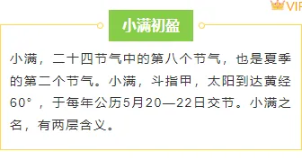 2026小满公众号排版指南|实用样式与模板全推荐 6 样式ID:143057 小满节气边框内容简约绿色样式