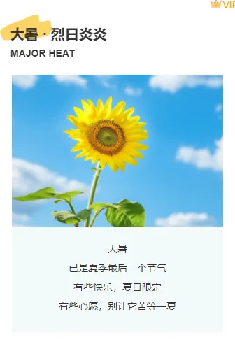 节气公众号排版素材哪里找?2026实用样式与模板大揭秘 9 样式ID:115953 二十四节气大暑防暑上下图文